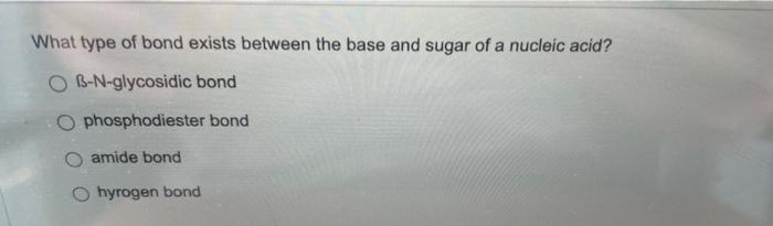 What Type Of Bond Exists Between The Base And Sugar Of A Nucleic Acid A Ob N Glycosidic Bond O Phosphodiester Bond Amid 1