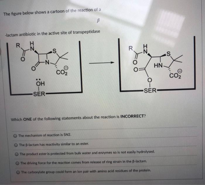 The Figure Below Shows A Cartoon Of The Reaction Of A B Lactam Antibiotic In The Active Site Of Transpeptidase R Iz R S 1