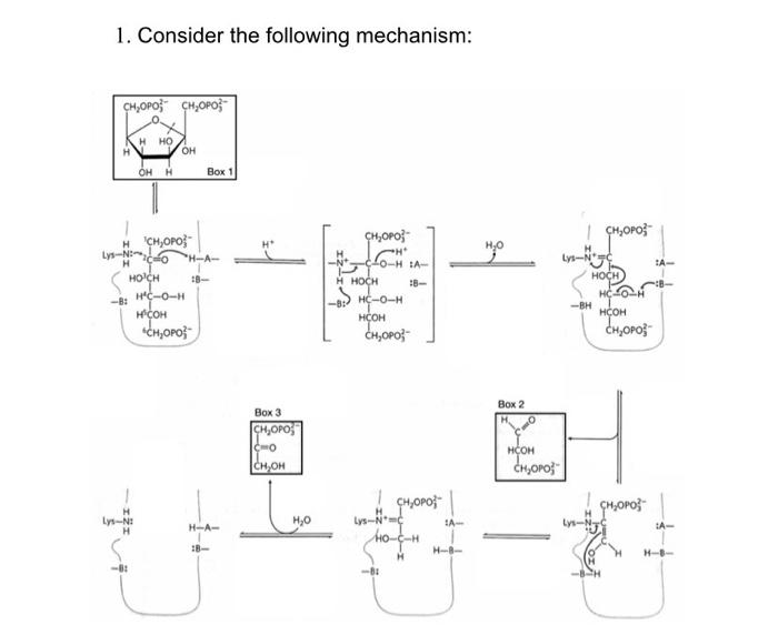1 Consider The Following Mechanism Chopo Chopo Hho H Oh Oh H Box 1 Ch Op Hichopos H A 1 Ghzopo L No Hjo H Low P 1