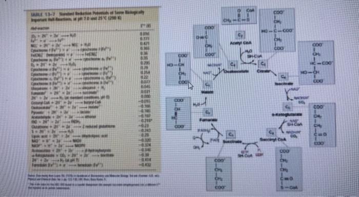 Calculate The Voltage Potential Of The Reaction In V Do Not Include Units In Your Answer Lable 1 1 New Eur 000 On Ot 2