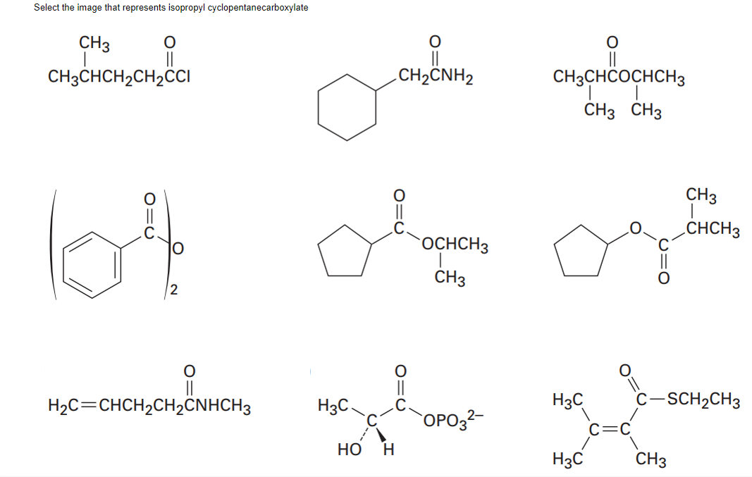 Select The Image That Represents Isopropyl Cyclopentanecarboxylate 0 Ch3 Ch3chch Ch Cci 104 2 0 H C Chch Ch2cnhch3 H3c 1