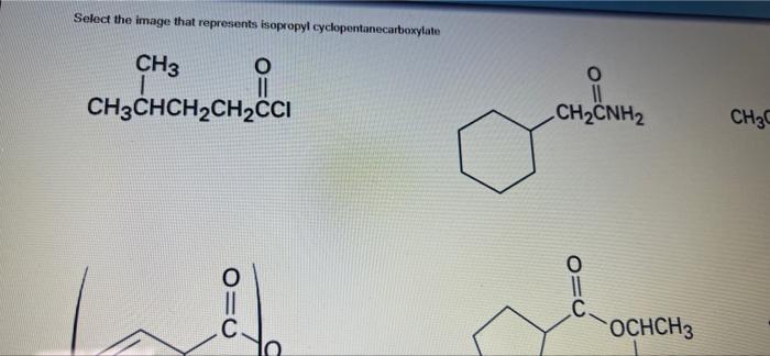 Select The Image That Represents Isopropyl Cyclopentanecarboxylate Ch3 Ch3chch Ch Cci 1 010 O Ch2cnh2 C Ochch3 Ch3c 1