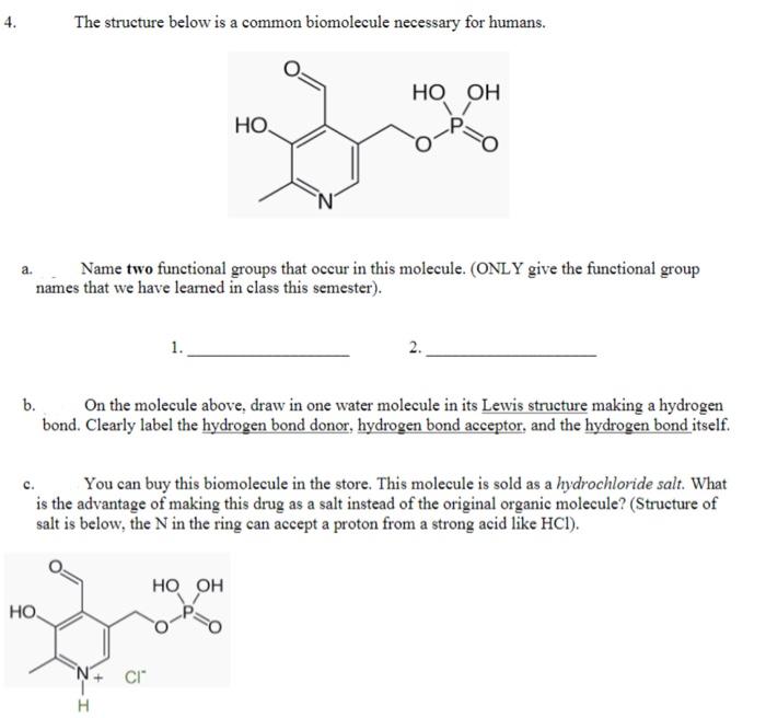 The Structure Below Is A Common Biomolecule Necessary For Humans Ho Oh Ho Zo A Name Two Functional Groups That Occur I 1