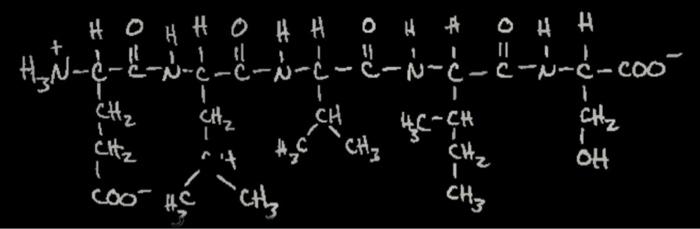 What Is The Name Of This Oligopeptide Use The Three Letter And One Letter Nomenclature Of The Amino Acids Based On The 1
