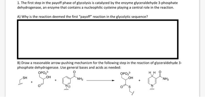 1 The First Step In The Payoff Phase Of Glycolysis Is Catalyzed By The Enzyme Glyceraldehyde 3 Phosphate Dehydrogenase 1