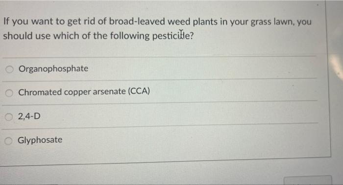 If You Want To Get Rid Of Broad Leaved Weed Plants In Your Grass Lawn You Should Use Which Of The Following Pesticille 1