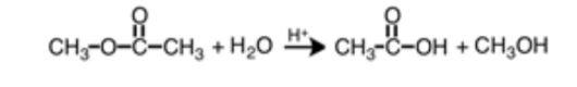 1 Please Explain The Following Reaction And Identify What Term Correctly Describes The Following Reaction Thanks 2 P 1
