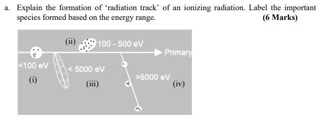 A Explain The Formation Of Radiation Track Of An Ionizing Radiation Label The Important Species Formed Based On The E 1