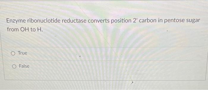 Enzyme Ribonuclotide Reductase Converts Position 2 Carbon In Pentose Sugar From Oh To H O True False 1