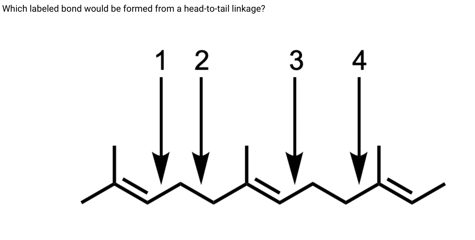 Which Labeled Bond Would Be Formed From A Head To Tail Linkage 1 2 3 4 1