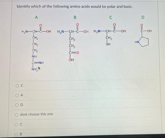 Identify Which Of The Following Amino Acids Would Be Polar And Basic A B C D Ioh H N Ch H N Ch C Oh H N Ch C Oh Ch 1