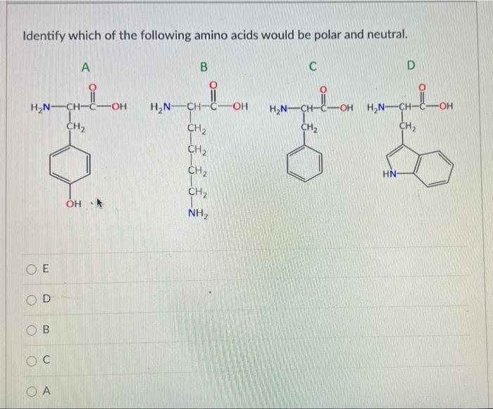 Identify Which Of The Following Amino Acids Would Be Polar And Neutral A B C D I Ch I H N Ch Oh H N Ch C Oh H N Ch 1