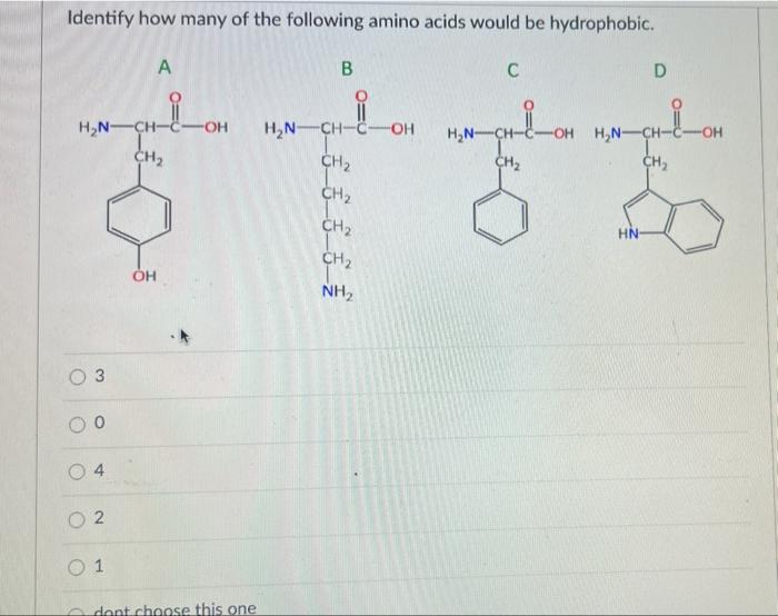 Identify How Many Of The Following Amino Acids Would Be Hydrophobic A B C D Ch I Oh H N H N Ch C Oh H N H N Ch Ch 1