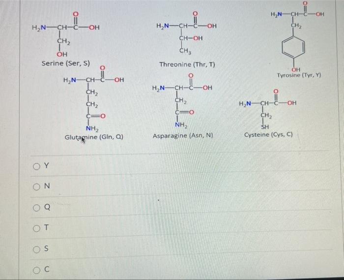 Which Of The Following Amino Acids Would You Expect To Make Dissulfide Bridges Give The 1 Letter Abbreviation 1