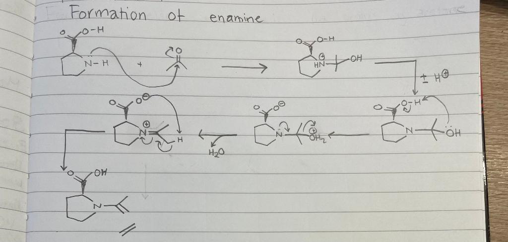 Oh Och Toh 27 Loterie H O Oh I H N Tot H O O H O Enamine Ot Formation Prolin Catalysed Michael Addition Oh N Ph No 1