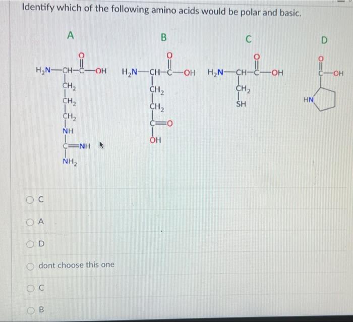 Identify Which Of The Following Amino Acids Would Be Polar And Basic A B C O H N Ch H N Ch C Oh Oh H N Ch Ch Ch Ch 1