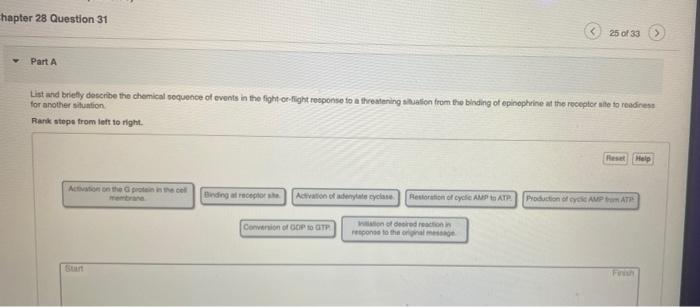 Hapter 28 Question 31 25 Of 33 Part A List And Briefly Describe The Chemical Sequence Of Events In The Fight Or Fight Re 1