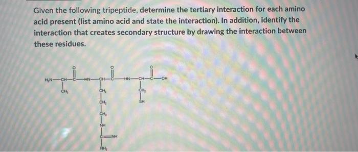 Given The Following Tripeptide Determine The Tertiary Interaction For Each Amino Acid Present List Amino Acid And Stat 1
