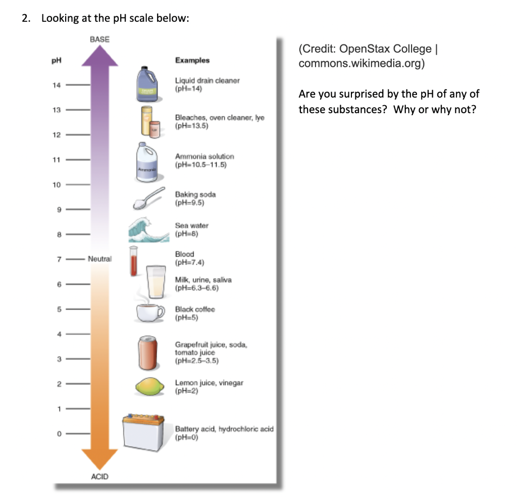 After Watching Acids Bases And The Ph Scale Https Www Youtube Com Watch V Grz 2ibld34 1 What Are The Three Ways 1