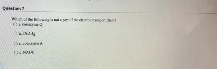 Question 7 Which Of The Following Is Not A Part Of The Electron Transport Chain O A Coenzyme Q O B Fadh O C Coenzym 1