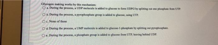 Glycogen Making Works By This Mechanism O During The Process A Udp Molecule Is Added To Glucose To Form Udpg By Split 1