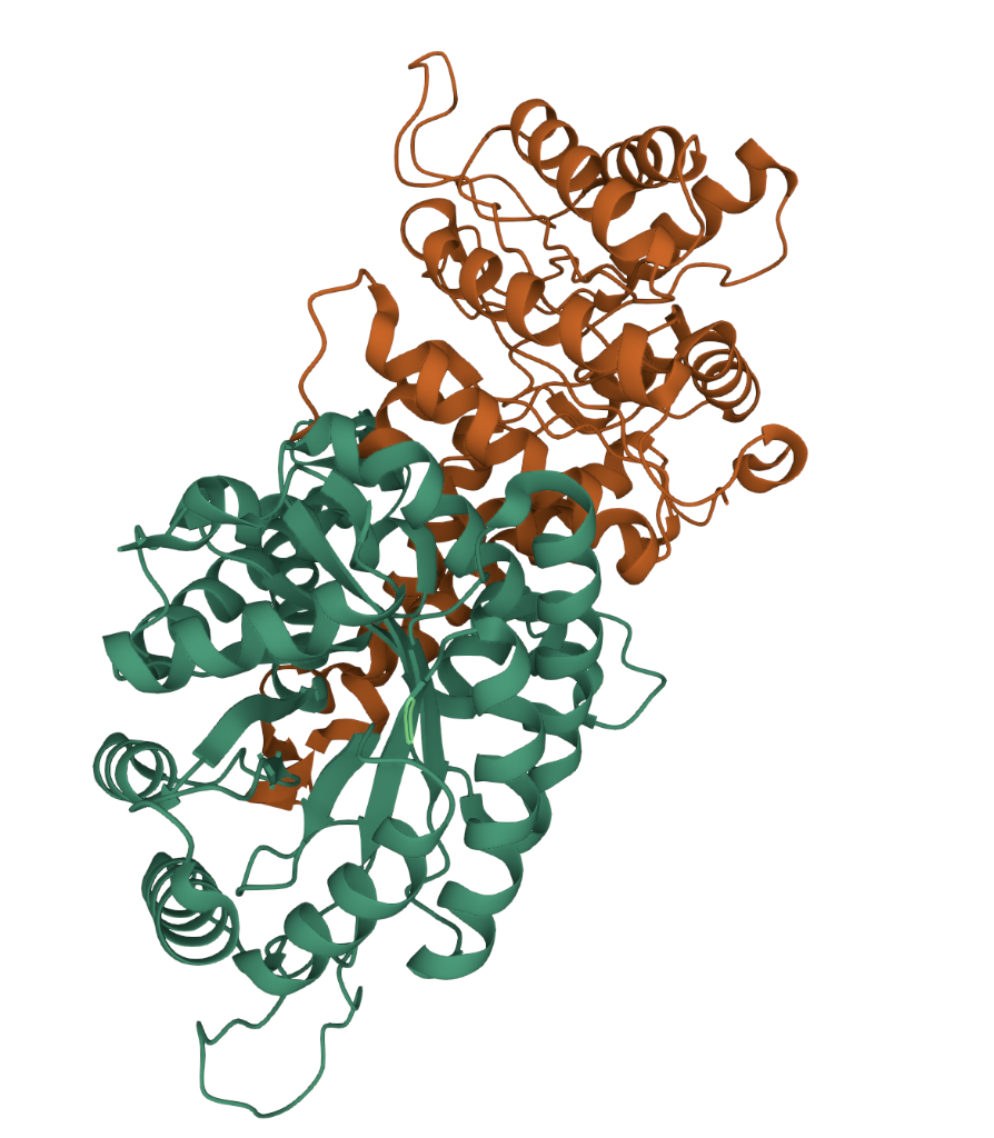 Difference Between Fructose 1 6 Bisphosphate Aldolase Secondary Structure And Tertiary Structure 1