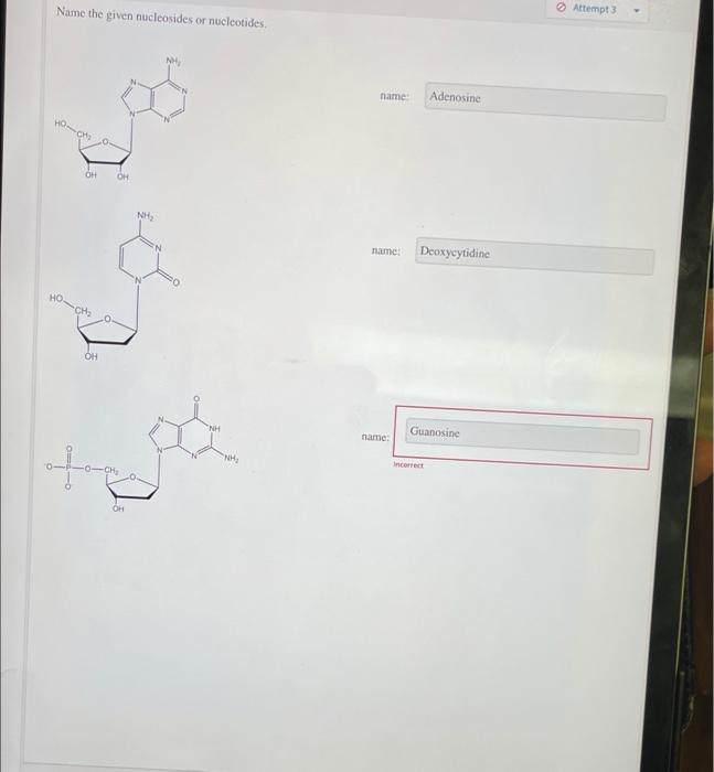 Name The Given Nucleosides Or Nucleotides Nh Ho Ch Ho Oh Oh Ch 0 Oh For Oh Nh Nh Nh Name Adenosine Name Name 1