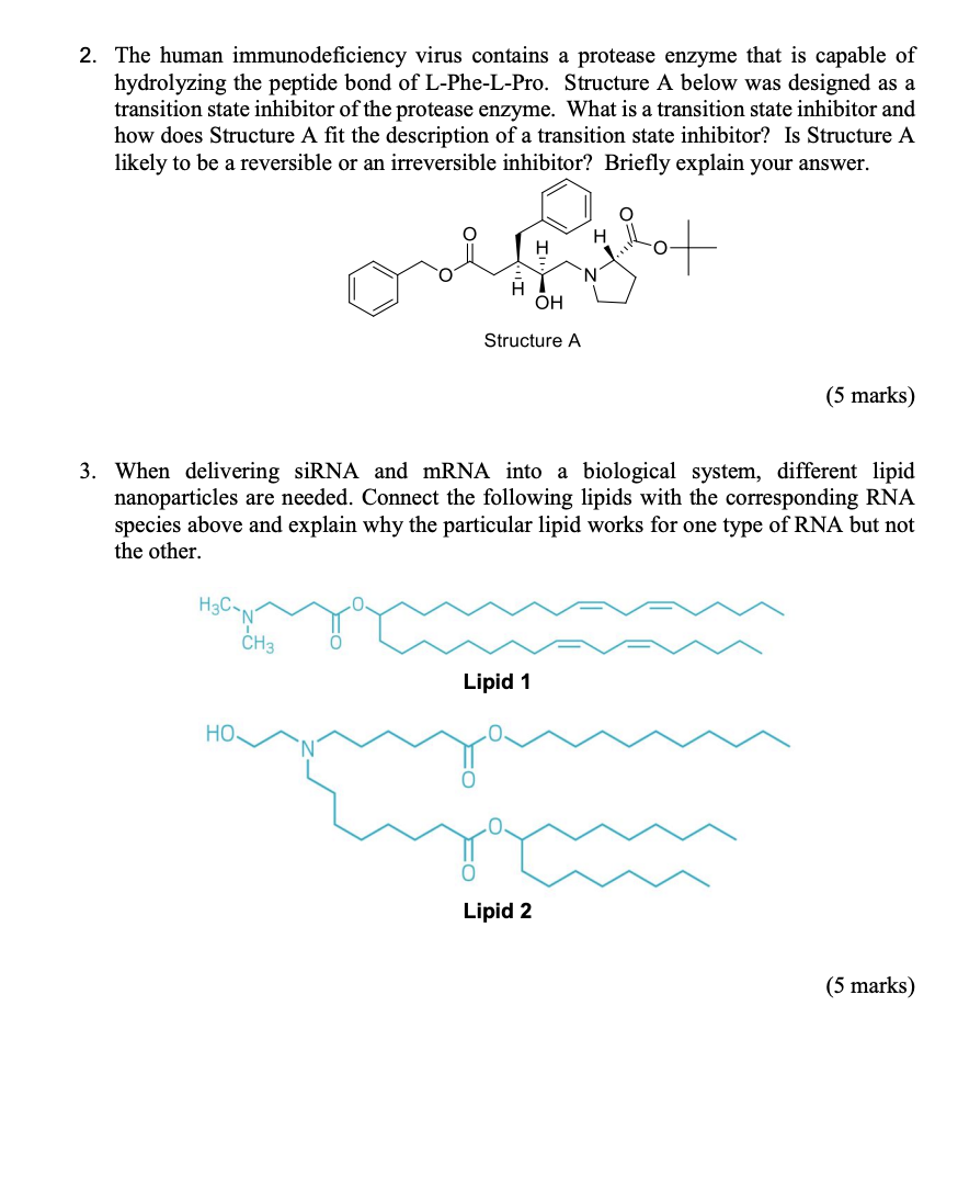 2 The Human Immunodeficiency Virus Contains A Protease Enzyme That Is Capable Of Hydrolyzing The Peptide Bond Of L Phe 1