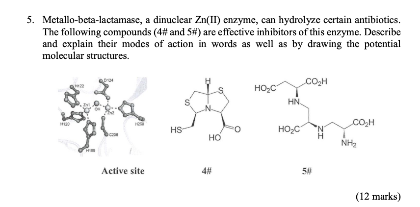 5 Metallo Beta Lactamase A Dinuclear Zn Ii Enzyme Can Hydrolyze Certain Antibiotics The Following Compounds 4 And 1
