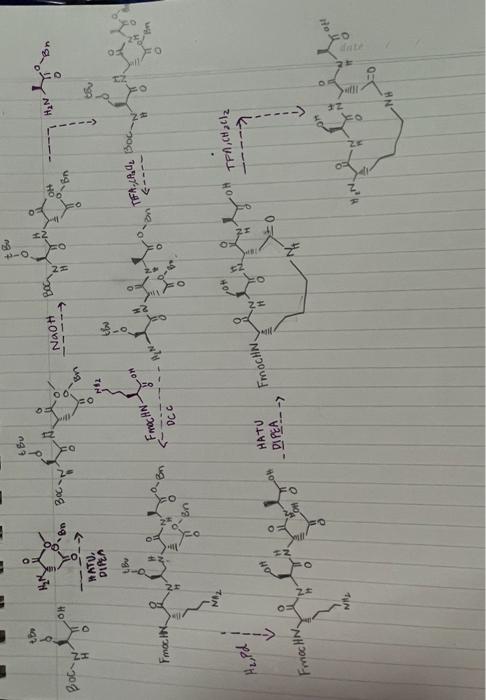 The Following Synthetic Screme Should Make Cyclic Tetrapeptide But It Has Some Errors That Prevents Its Success Please 2