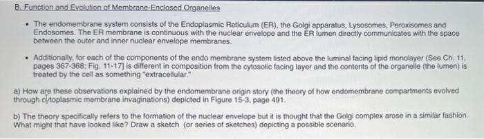 B Function And Evolution Of Membrane Enclosed Organelles The Endomembrane System Consists Of The Endoplasmic Reticulu 1