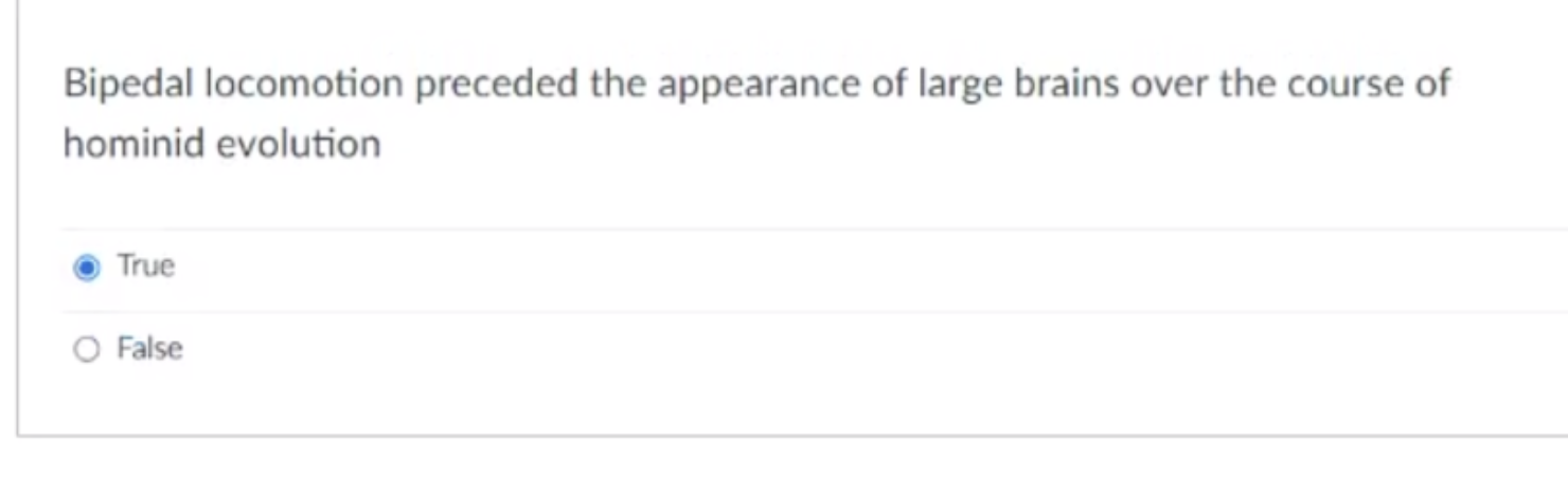 Bipedal Locomotion Preceded The Appearance Of Large Brains Over The Course Of Hominid Evolution True False 1