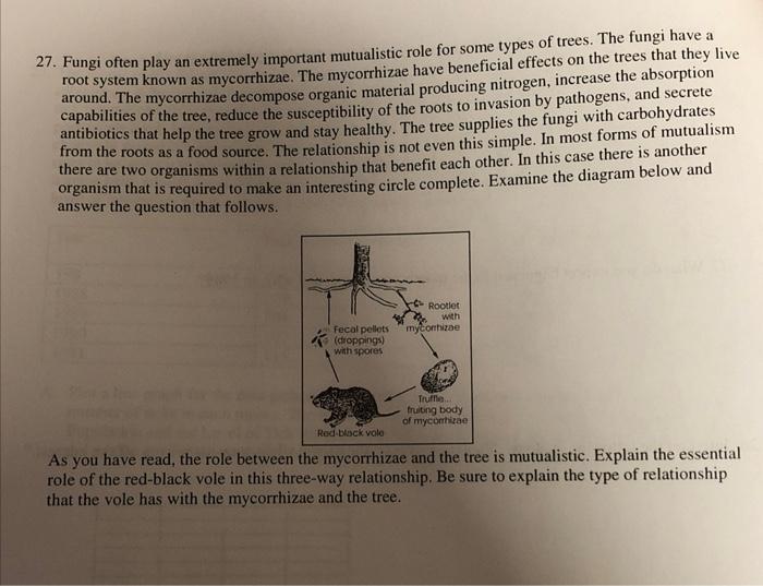 27 Fungi Often Play An Extremely Important Mutualistic Role For Some Types Of Trees The Fungi Have A Root System Known 2
