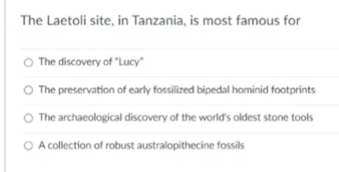 The Laetoli Site In Tanzania Is Most Famous For The Discovery Of Lucy The Preservation Of Early Fossilized Bipedal H 1