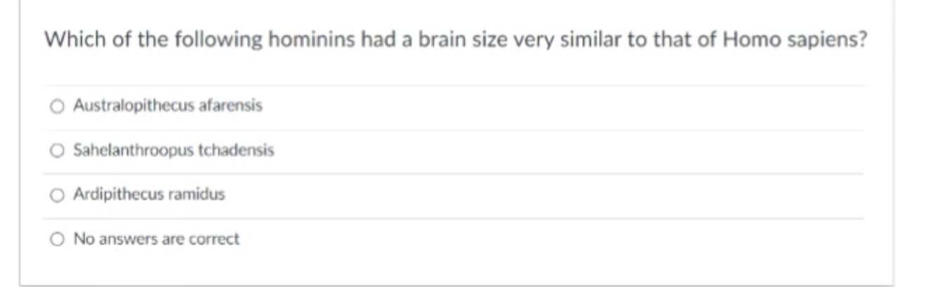 Which Of The Following Hominins Had A Brain Size Very Similar To That Of Homo Sapiens Australopithecus Afarensis Sahela 1