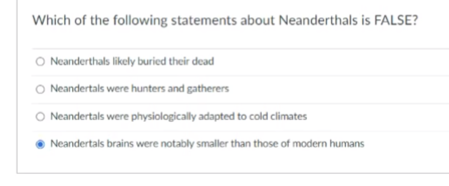 Which Of The Following Statements About Neanderthals Is False O Neanderthals Likely Buried Their Dead Neandertals Were 1