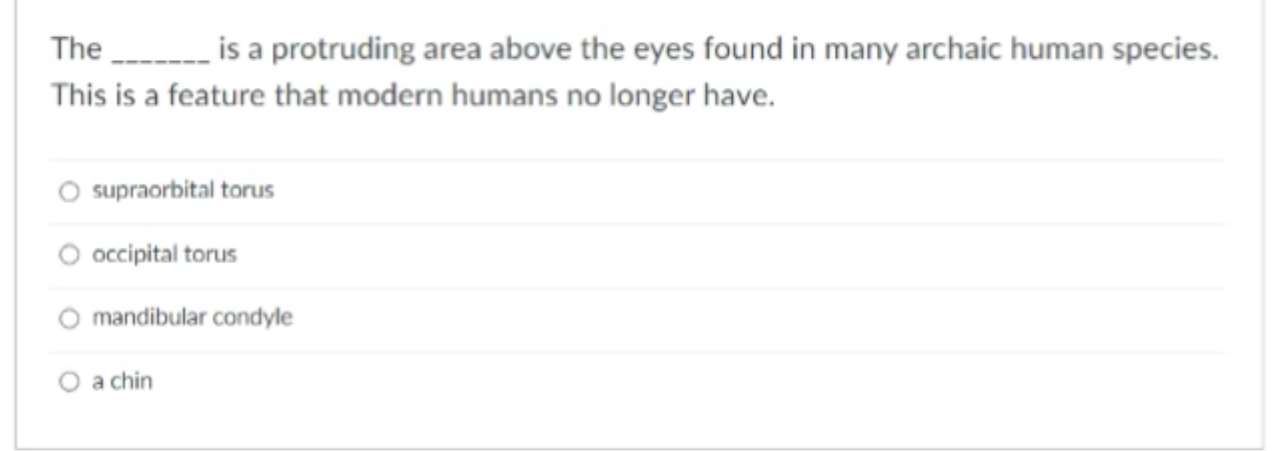 The Is A Protruding Area Above The Eyes Found In Many Archaic Human Species This Is A Feature That Modern Humans N 1