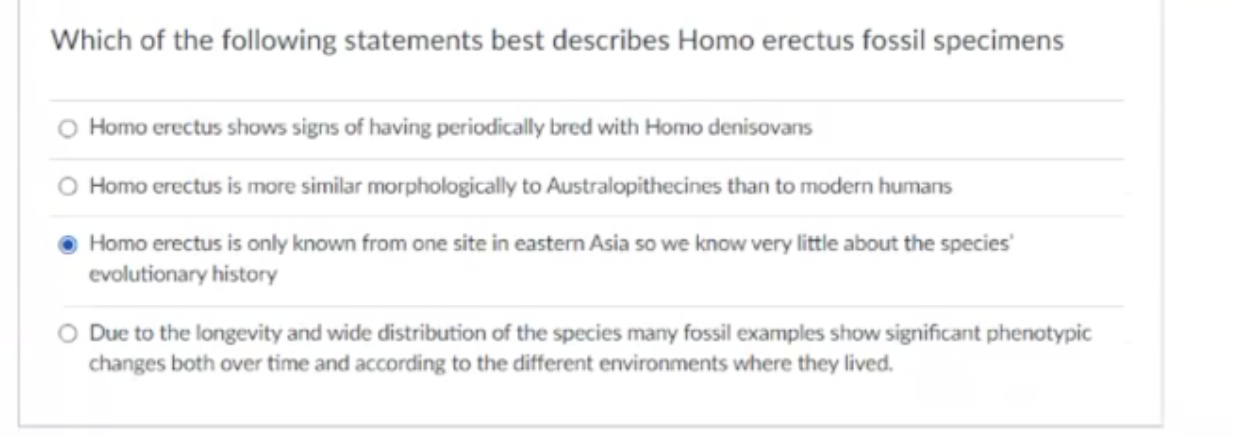 Which Of The Following Statements Best Describes Homo Erectus Fossil Specimens Homo Erectus Shows Signs Of Having Period 1