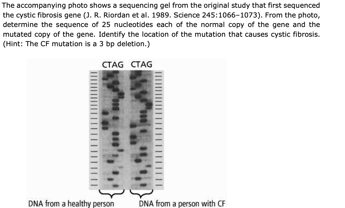The Accompanying Photo Shows A Sequencing Gel From The Original Study That First Sequenced The Cystic Fibrosis Gene J 1