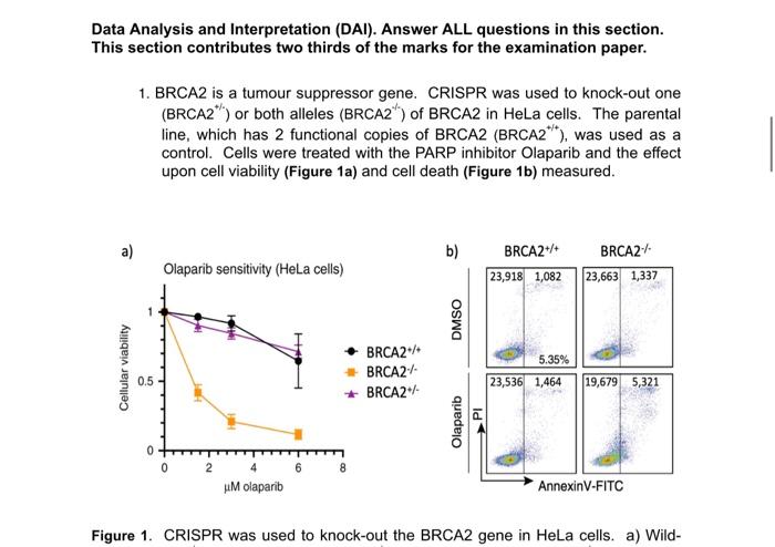 Data Analysis And Interpretation Dai Answer All Questions In This Section This Section Contributes Two Thirds Of The 1