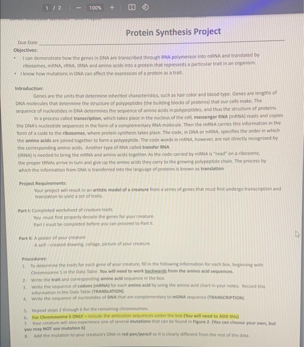 1 2 100 Protein Synthesis Project Due Date Objectives I Can Demonstrate How The Genes In Dna Ate Transcribed Throu 1