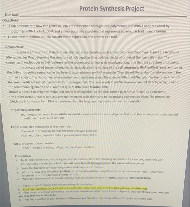 Protein Synthesis Project Due Date Objectives Can Demonstrate How The Genes In Dna Are Transcribed Through Rna Polymera 1