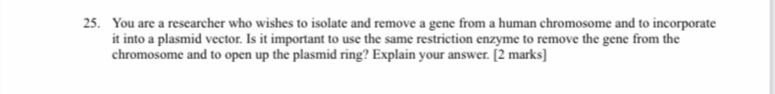 25 You Are A Researcher Who Wishes To Isolate And Remove A Gene From A Human Chromosome And To Incorporate It Into A Pl 1