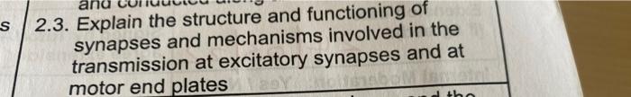 S 2 3 Explain The Structure And Functioning Of Synapses And Mechanisms Involved In The Transmission At Excitatory Synap 1