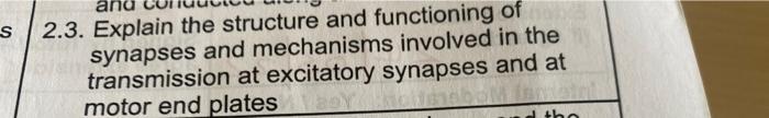 S 2 3 Explain The Structure And Functioning Of Synapses And Mechanisms Involved In The Transmission At Excitatory Synap 1