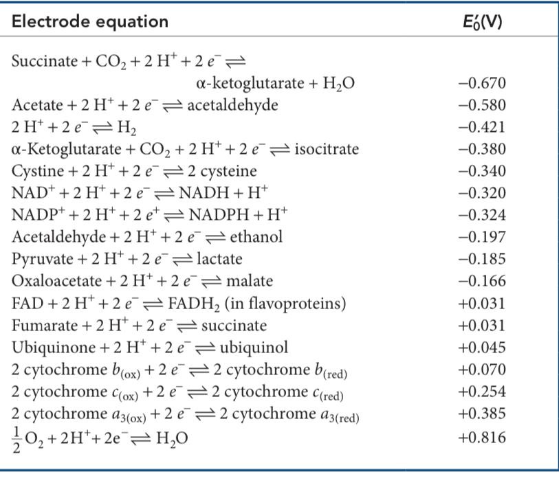 Electrode Equation Eo V Succinate Co2 2 H 2 A Ketoglutarate H2o Acetate 2 H 2 Acetaldehyde 2 H 2 H 1