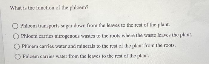 Which Of The Following Is A Major Difference Between Monocot And Eudicot Roots In Monocots The Xylem And Phloem Are Fo 2