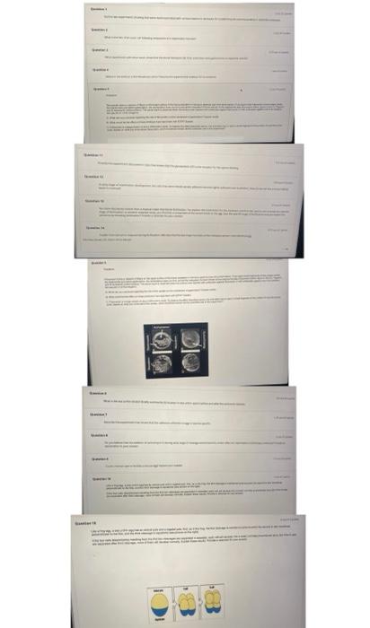 May You Solve It It Is About Developmental Biology The Subject Is Developmental Biology Of Major Cellular Molecular B 1