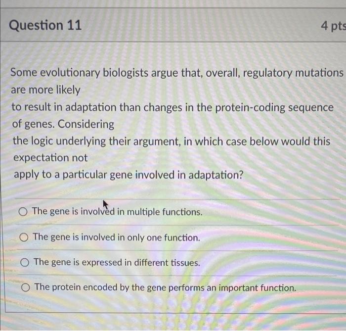 Question 11 4 Pts Some Evolutionary Biologists Argue That Overall Regulatory Mutations Are More Likely To Result In Ad 1