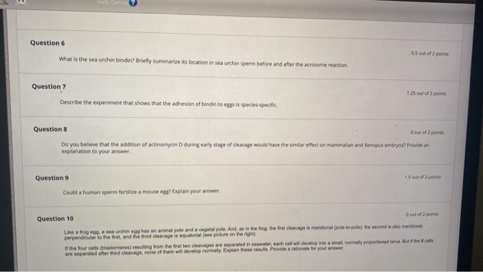 Question 6 What Is The Sea Urchin Bindin Briefly Summarizeitslocation In Searchin Sperm Before And After The Some React 1